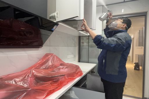 專業(yè)治理甲醛