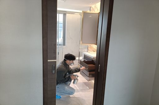 專業(yè)治理甲醛