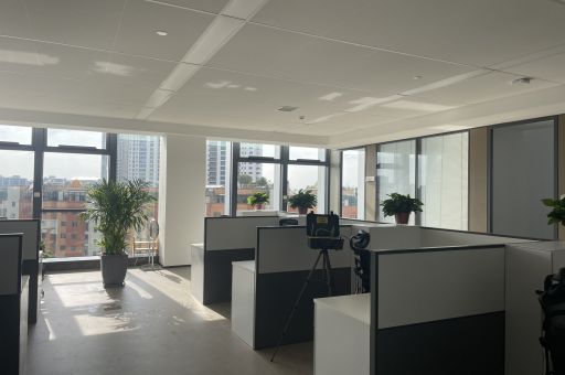 天然材料除甲醛,安全無毒更放心 天然材料除甲醛,安全無毒更放心